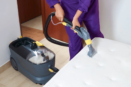 VeraLux Carpet Care gallery image