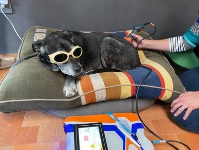 Chamisa Veterinary Services gallery image