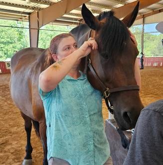Chamisa Veterinary Services gallery image
