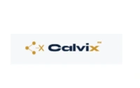 Calvix Technology Solutions logo